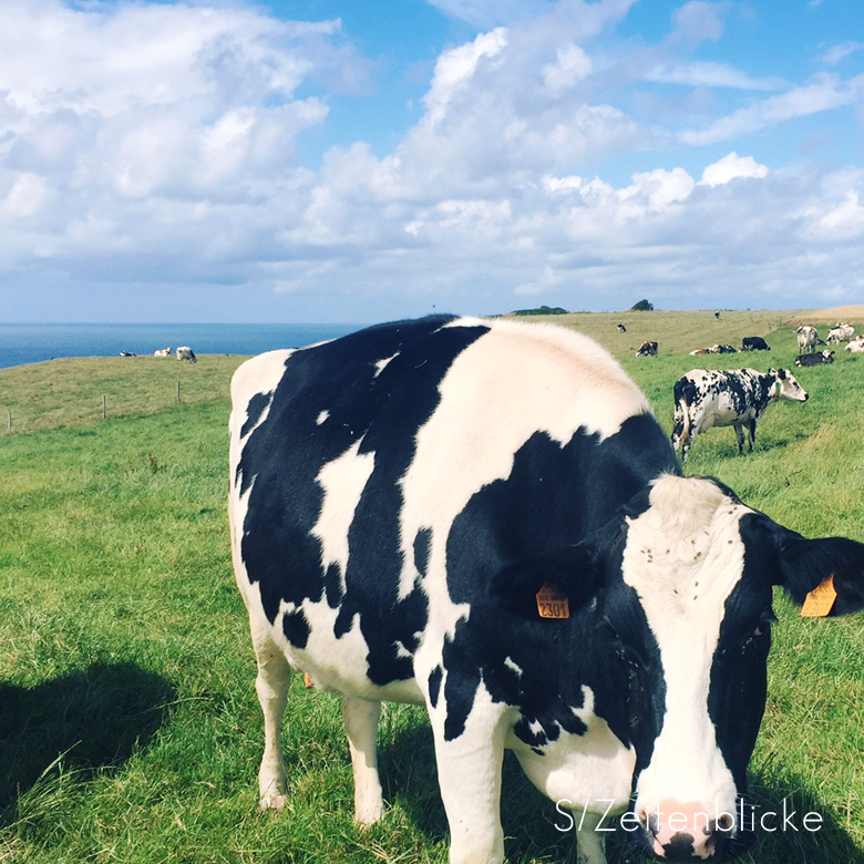 Côte d'Albâtre zwischen Étretat und Yport