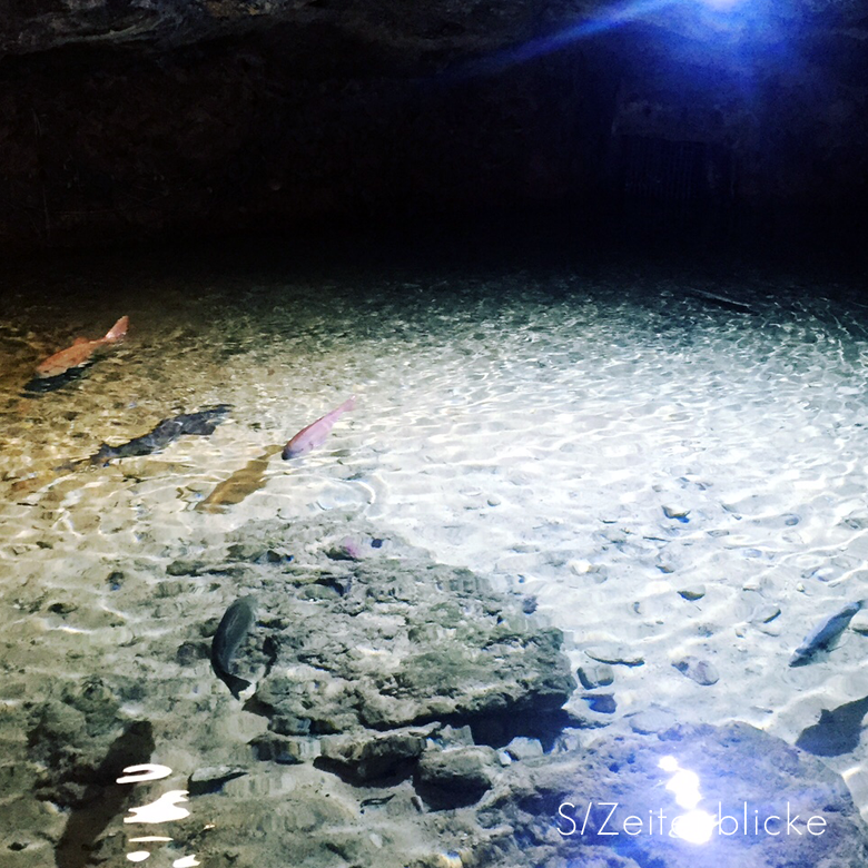 Aquarium Ibiza
