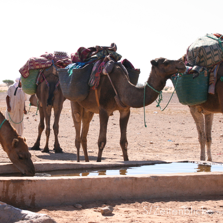 Marokko Wüstentrekking Sahara