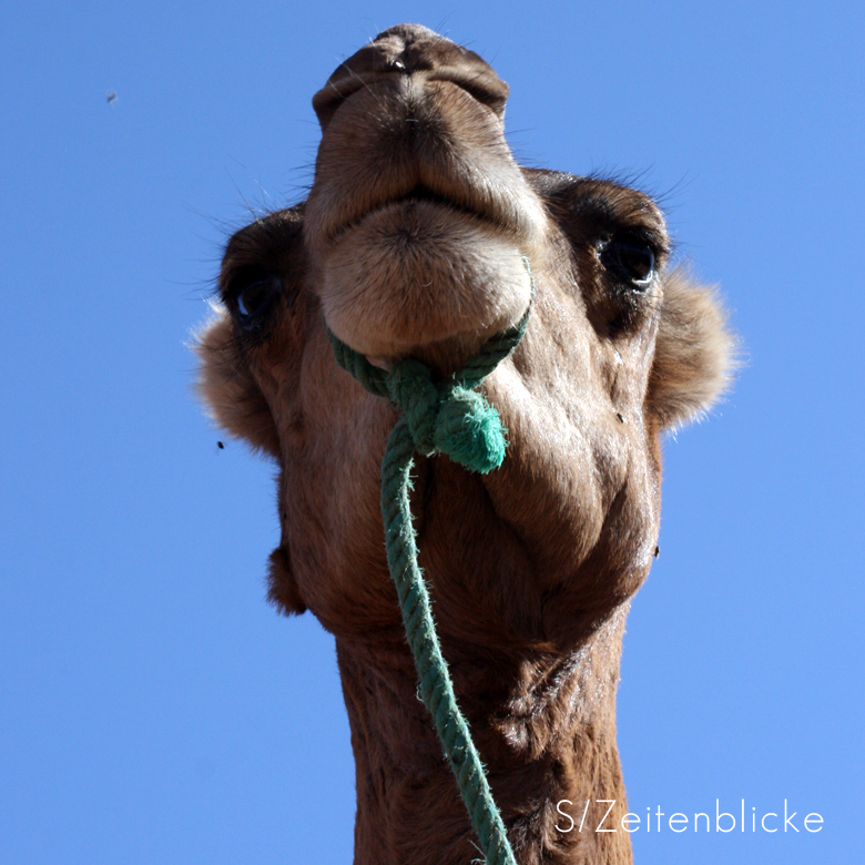 Marokko Wüstentrekking Sahara