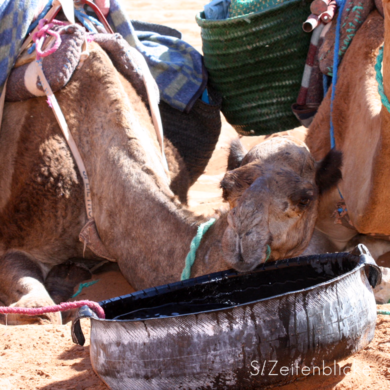 Marokko Wüstentrekking Sahara