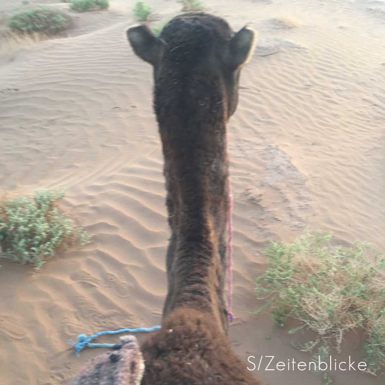 Marokko Wüstentrekking Sahara