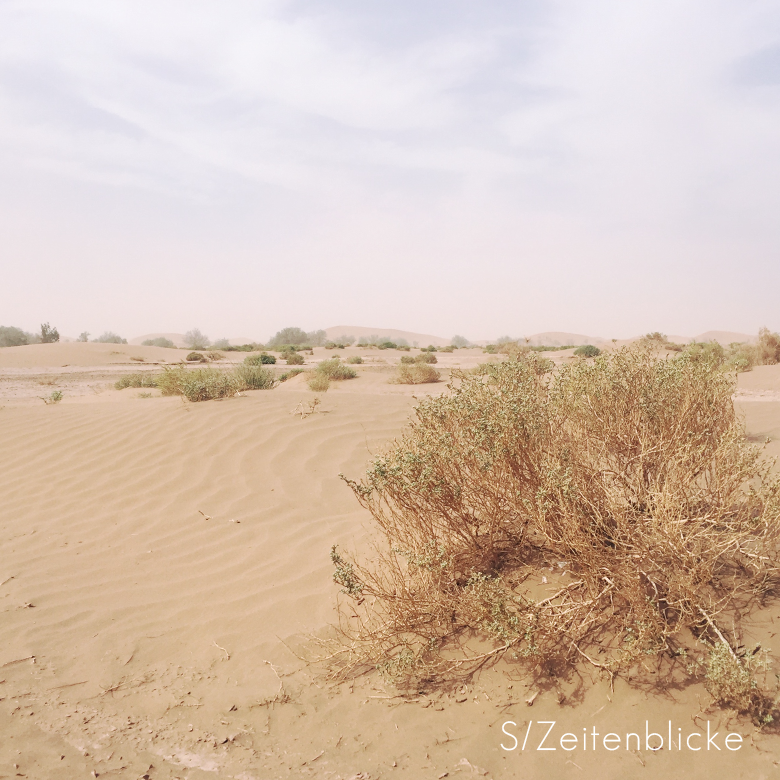 Marokko Wüstentrekking Sahara
