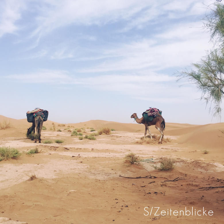 Marokko Wüstentrekking Sahara